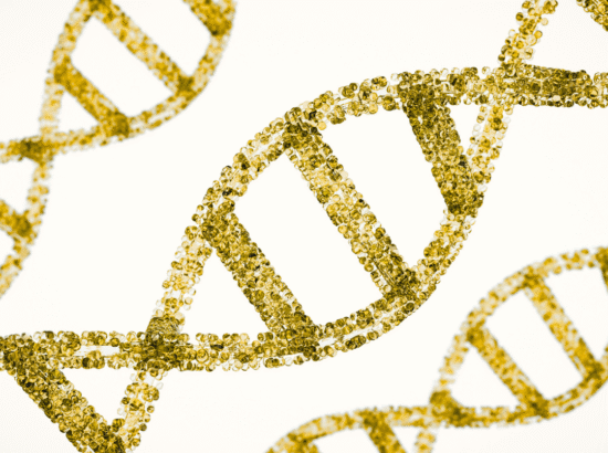 DNA AKTİVASYONU NEDİR