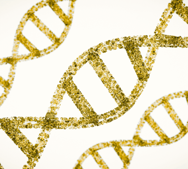 DNA AKTİVASYONU NEDİR